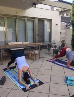 Profile photo of , undefined tutor at Wiingy