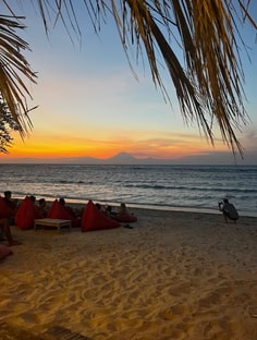 Profile photo of , undefined tutor at Wiingy