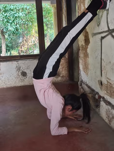 Profile photo of , undefined tutor at Wiingy